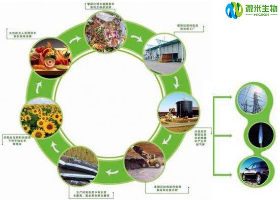 微米生物：餐廚垃圾處理設備的適用范圍及各地垃圾解決現(xiàn)況