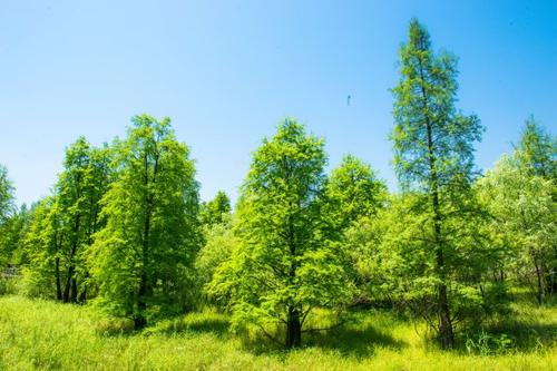 微米生物：餐廚垃圾長久堆放產(chǎn)生什么可怕后果？