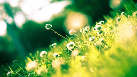 微米生物：加大垃圾處理環(huán)節(jié)宣傳，很有必要！