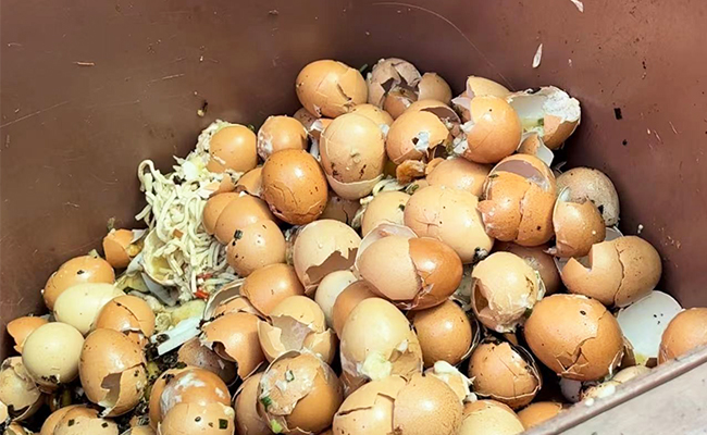 餐廚垃圾怎么處理？